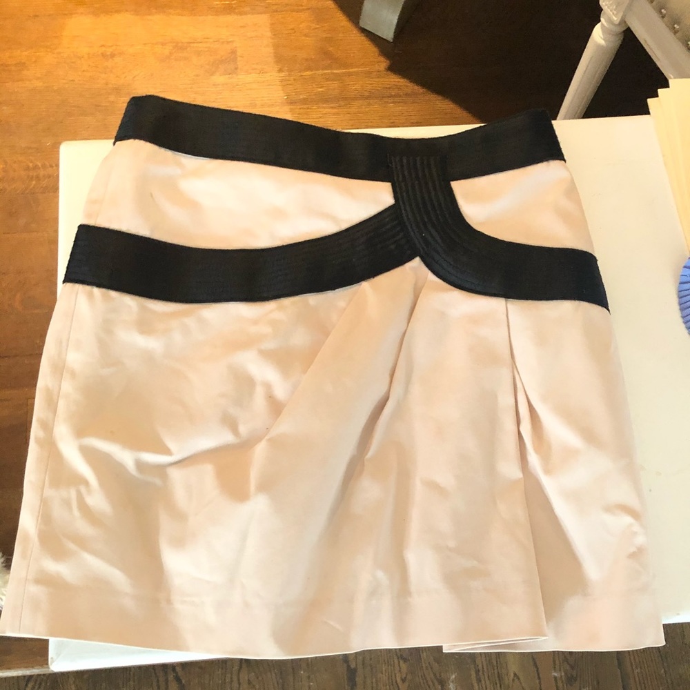 Robert Rodriguez skirt!
